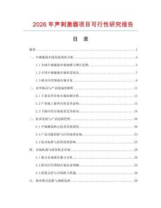 2026年聲刺激器項目可行性研究報告