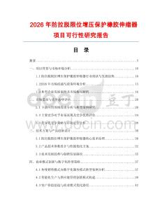 2026年防拉脫限位增壓保護橡膠伸縮器項目可行性研究報告
