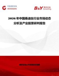 2026年中國桑迪絲行業市場動態分析及產業前景研判報告