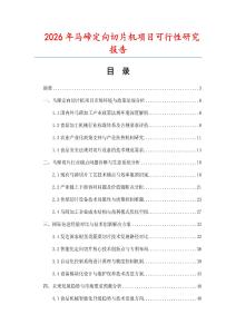 2026年馬碲定向切片機項目可行性研究報告