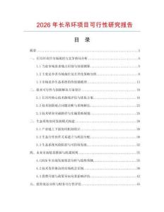 2026年長吊環項目可行性研究報告