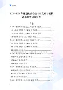 2025-2030年橡塑制品企業ESG實踐與創新戰略分析研究報告