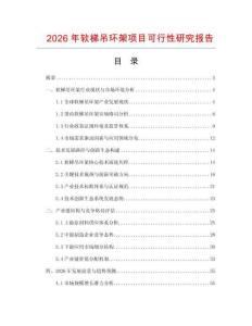 2026年軟梯吊環架項目可行性研究報告