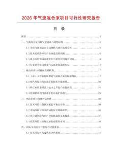 2026年氣液混合泵項目可行性研究報告