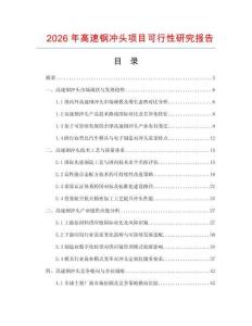 2026年高速钢冲头项目可行性研究报告
