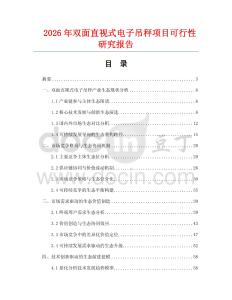 2026年雙面直視式電子吊秤項目可行性研究報告