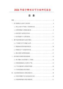 2026年桔子瓣項(xiàng)目可行性研究報(bào)告