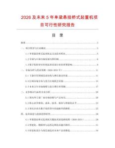 2026及未來5年單梁懸掛橋式起重機項目可行性研究報告