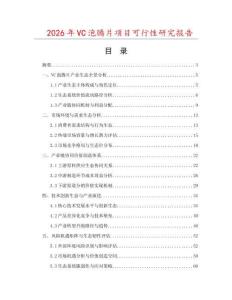 2026年VC泡騰片項目可行性研究報告