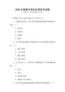 2026年数据可视化应用技巧试题