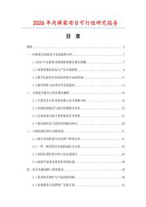 2026年內褲架項目可行性研究報告