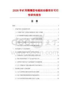 2026年礦用隔爆型電磁起動器項(xiàng)目可行性研究報(bào)告