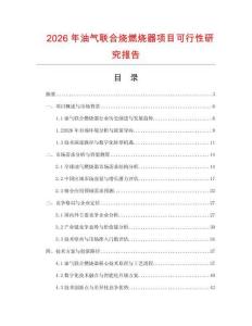 2026年油氣聯(lián)合燒燃燒器項目可行性研究報告