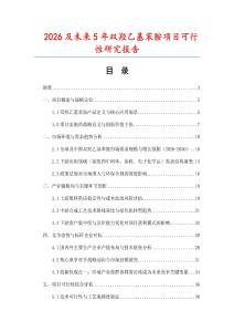 2026及未來5年雙羥乙基苯胺項目可行性研究報告