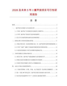 2026及未來5年二氟甲烷項目可行性研究報告