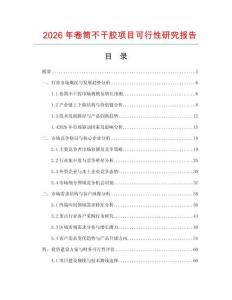 2026年卷筒不干膠項目可行性研究報告