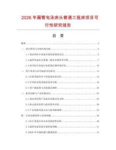 2026年扁管電泳床頭普通三搖床項(xiàng)目可行性研究報告