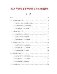 2026年黑色手掌號項目可行性研究報告
