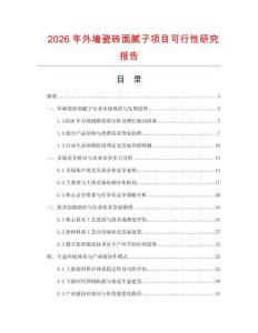 2026年外墙瓷砖面腻子项目可行性研究报告