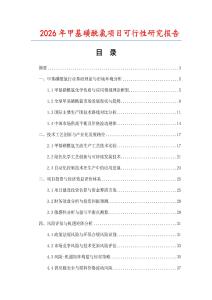 2026年甲基磺酰氯項(xiàng)目可行性研究報(bào)告