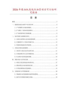2026年柴油機(jī)高低壓油管項(xiàng)目可行性研究報(bào)告