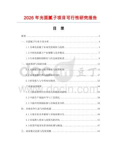 2026年光面膩?zhàn)禹?xiàng)目可行性研究報(bào)告