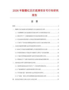 2026年酚醛紅灰打底漆項(xiàng)目可行性研究報(bào)告