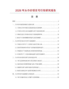 2026年頭巾紗項目可行性研究報告