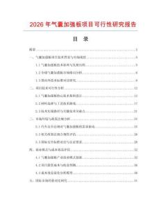 2026年氣囊加強板項目可行性研究報告