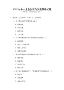 2025年中小企業(yè)創(chuàng)新與發(fā)展策略試題