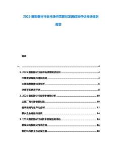 2026攝影器材行業(yè)市場供需現(xiàn)狀發(fā)展趨勢評估分析規(guī)劃報告