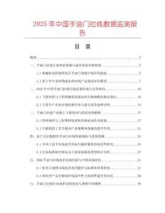 2025年中國手油門拉線數據監測報告