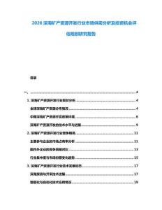 2026深海礦產(chǎn)資源開發(fā)行業(yè)市場供需分析及投資機(jī)會評估規(guī)劃研究報(bào)告