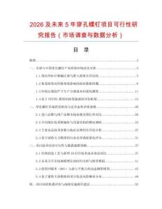 2026及未來5年穿孔螺釘項目可行性研究報告（市場調(diào)查與數(shù)據(jù)分析）