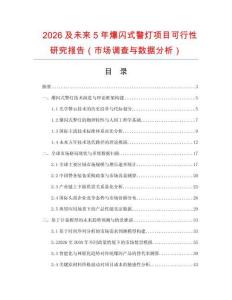 2026及未來5年爆閃式警燈項目可行性研究報告（市場調查與數據分析）