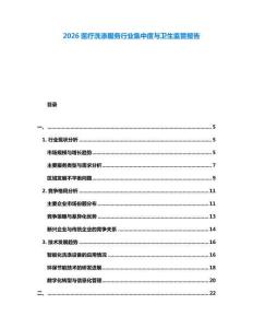 2026醫(yī)療洗滌服務(wù)行業(yè)集中度與衛(wèi)生監(jiān)管報告