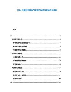 2026中國(guó)非常規(guī)油氣資源開(kāi)發(fā)經(jīng)濟(jì)效益評(píng)估報(bào)告