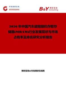 2026年中國汽車磁阻隨機存取存儲器(MRAM)行業發展現狀與市場占有率及排名研究分析報告