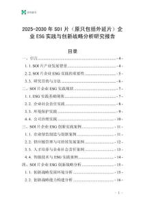 2025-2030年SOI片（原只包括外延片）企業(yè)ESG實(shí)踐與創(chuàng)新戰(zhàn)略分析研究報(bào)告