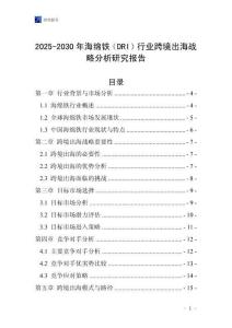 2025-2030年海綿鐵（DRI）行業跨境出海戰略分析研究報告