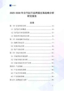 2025-2030年分汽缸行業跨境出海戰略分析研究報告