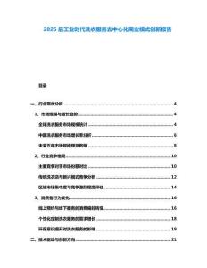 2025后工業(yè)時(shí)代洗衣服務(wù)去中心化商業(yè)模式創(chuàng)新報(bào)告