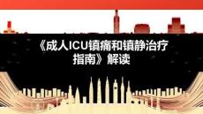 《中國(guó)成人ICU鎮(zhèn)痛和鎮(zhèn)靜治療指南》解讀