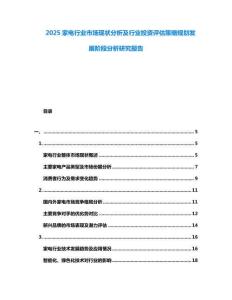 2025家電行業市場現狀分析及行業投資評估策略規劃發展階段分析研究報告