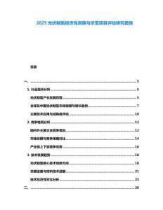 2025光伏制氫經(jīng)濟性測算與示范項目評估研究報告
