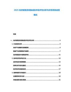 2025光伏制氫系統(tǒng)集成技術經(jīng)濟性分析與示范項目運營模式