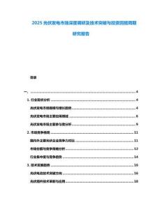 2025光伏發(fā)電市場深度調研及技術突破與投資回報周期研究報告