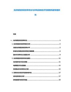 光伏制氫系統(tǒng)效率優(yōu)化與棄電消納經(jīng)濟性模型構建專題研究