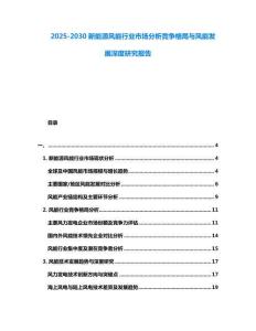 2025-2030新能源風能行業(yè)市場分析競爭格局與風能發(fā)展深度研究報告