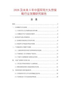 2026及未来5年中国军用大头劳保鞋行业发展研究报告
